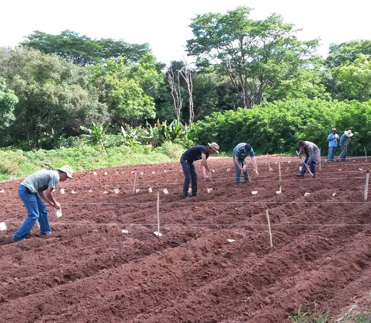 Campo Experimental Agronomia IV